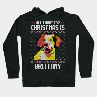 All I Want for Christmas is Brittany - Christmas Gift for Dog Lover Hoodie